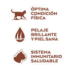 Nature's Variety Selected con salmón noruego para gato image number null